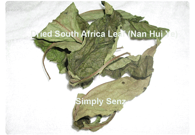 South African Leaf