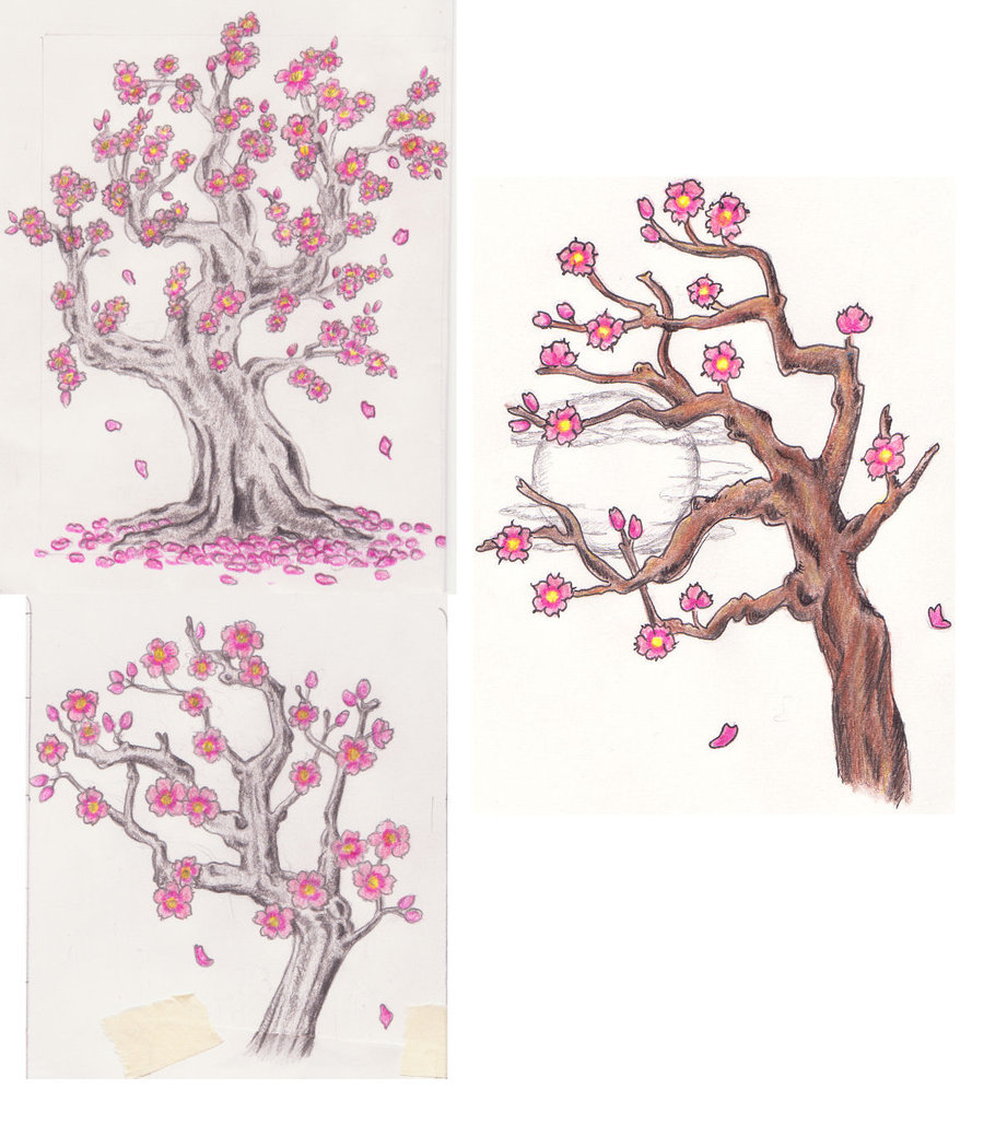     Tree Drawing Cherry Blossom Tree Clip Art Cherry Blossom Tree Clip Art