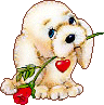 Valentine Dog With Rose