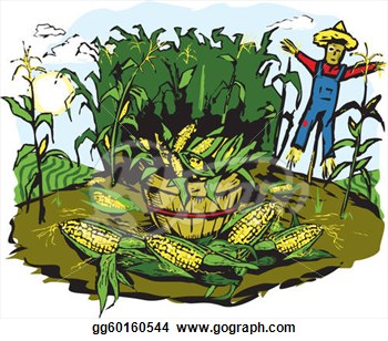 Clip Art   Corn Crop Harvest  Stock Illustration Gg60160544