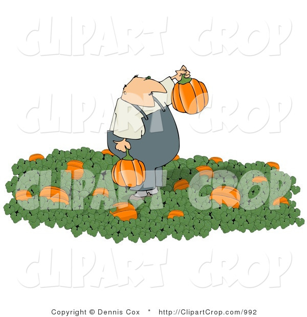 Clip Art Of A Farmer Harvesting In His Pumpkin Patch By Djart    992