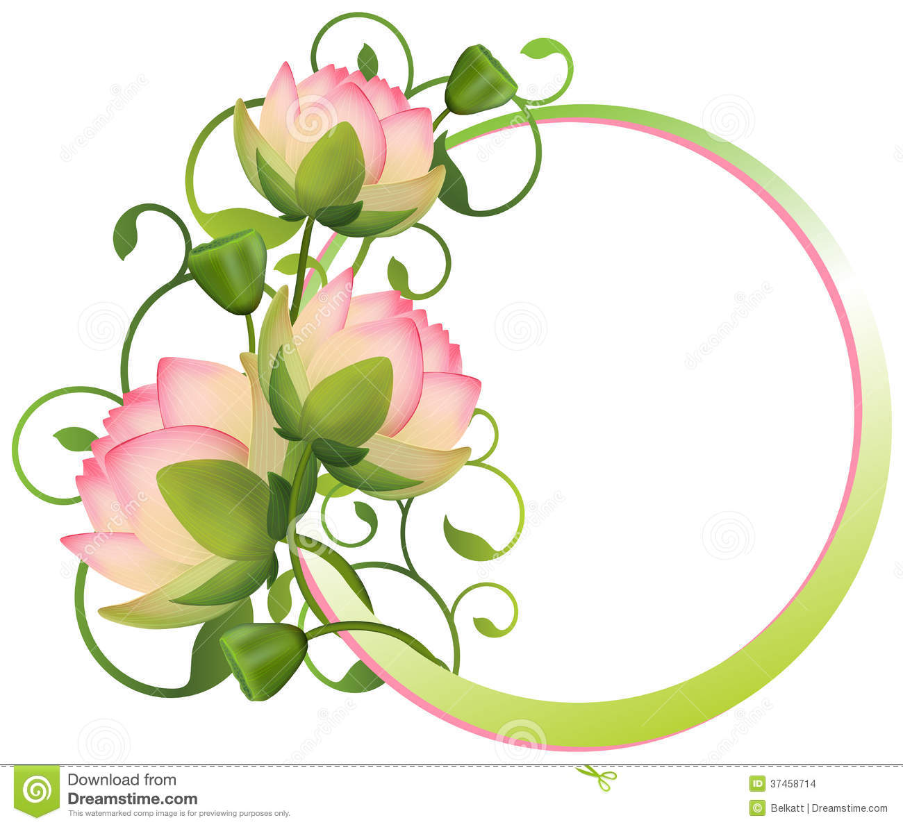 Flower Frame  Lotus Flower Stock Images   Image  37458714