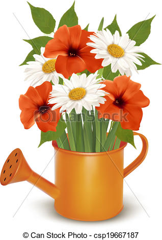 Of Summer Flowers In A Watering Can Vector Csp19667187   Search Clip