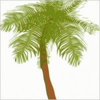 Palm Tree Island Clip Art   Bomrobot