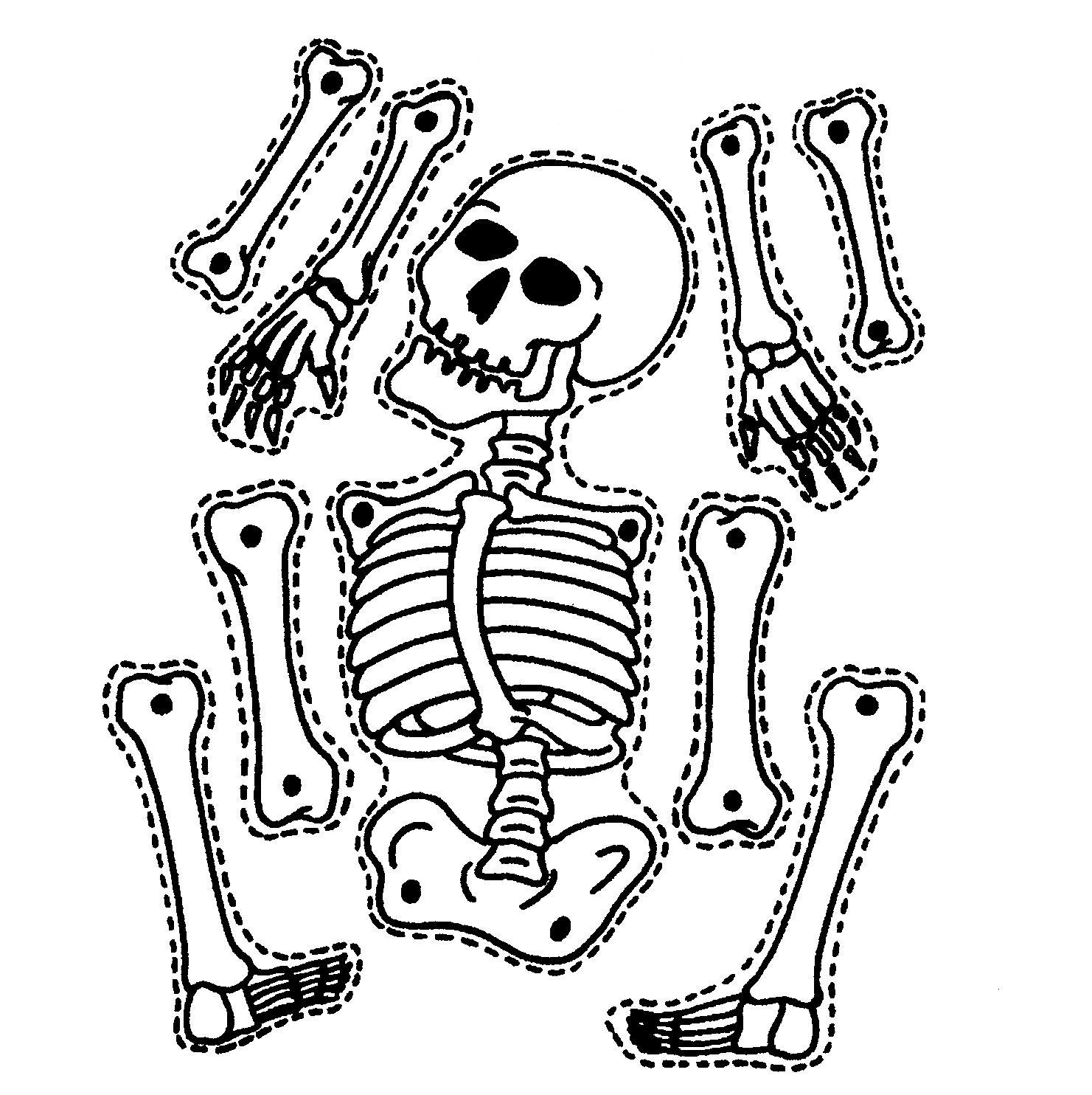 12 Skeleton Printable Template Free Cliparts That You Can Download To