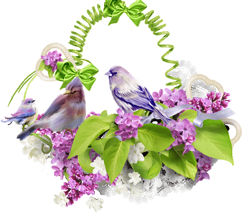 Animated Gifs   Flowers   Flowers And Birds