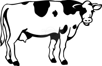 Cows Clip Art For Kids   Clipart Best
