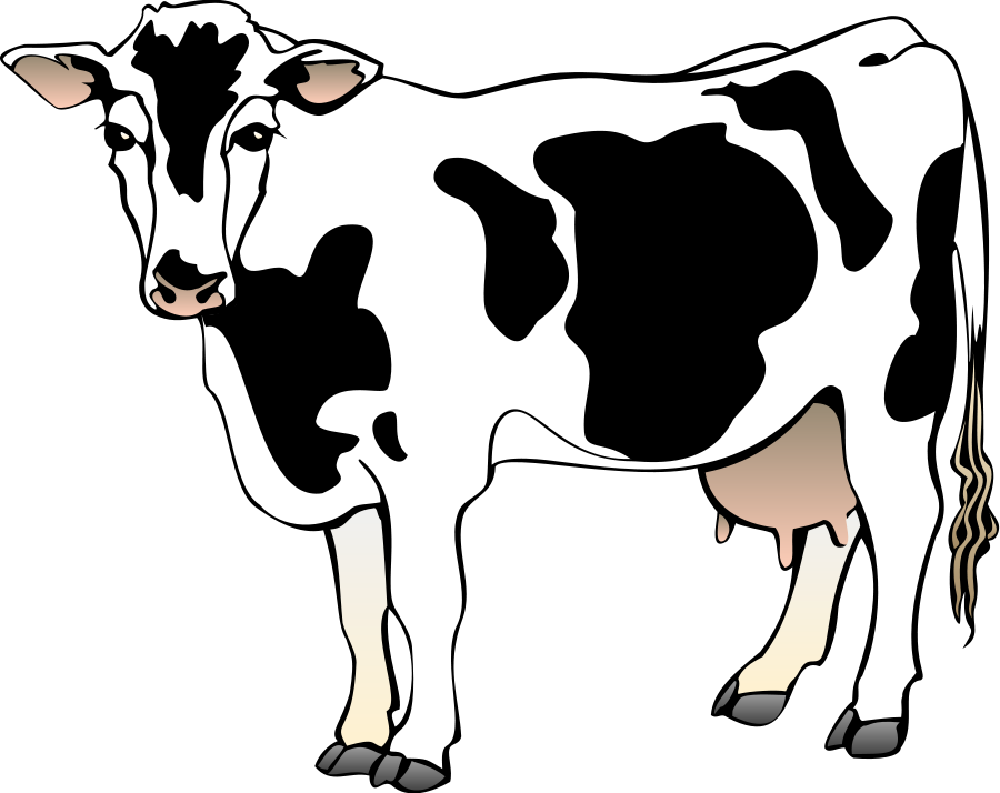 Cows Clipart   Free Large Images