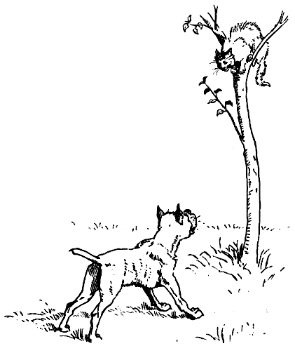 Dogs Cartoon Dogs Cartoon Dogs 6 Dog Chasing Cat Up Tree Png Html