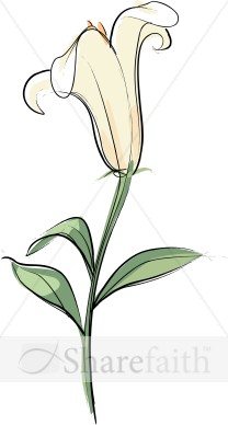 Lily Flower For The Easter Altar   Church Flower Clipart