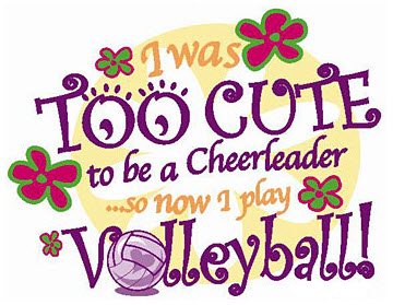 Volleyball Slogans   Funny Volleyball Sayings To Make You Smile
