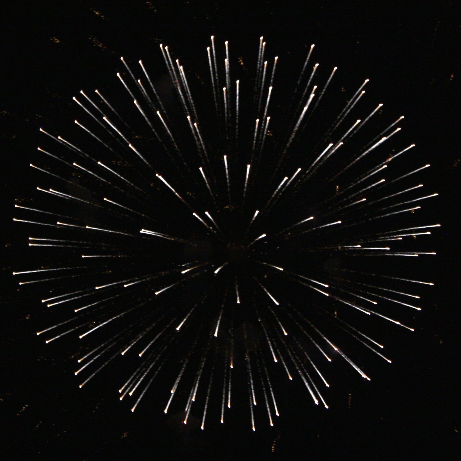 White Fireworks Star Burst Picture   Free Photograph   Photos Public    
