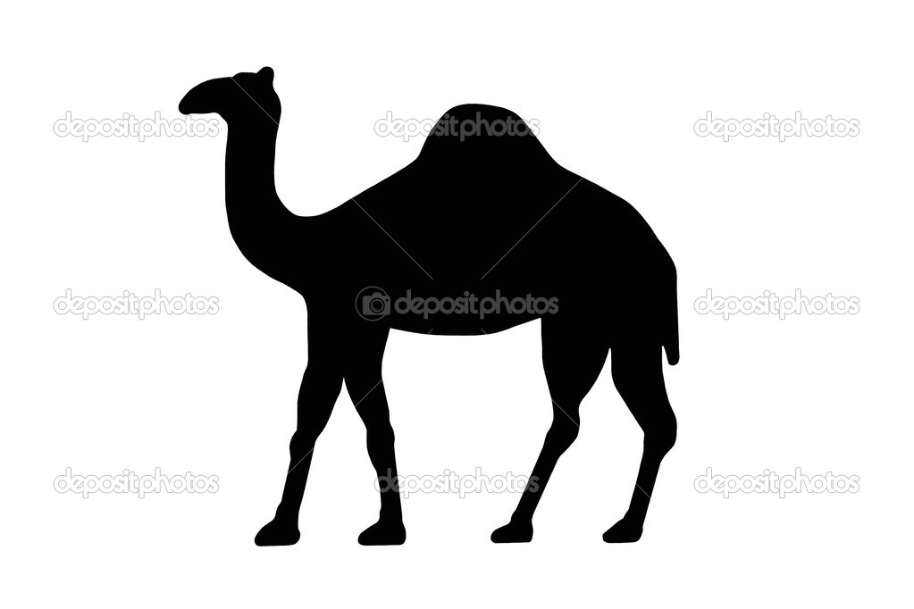 Camel Clip Art Black And White