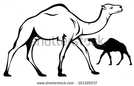 Camel Clipart Black And White   Clipart Panda   Free Clipart Images