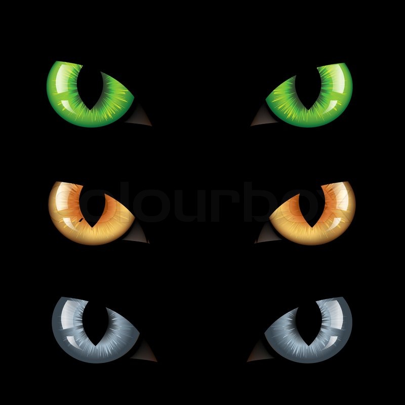 Evil Monster Eyes Of  3 Wild Cat Eyes