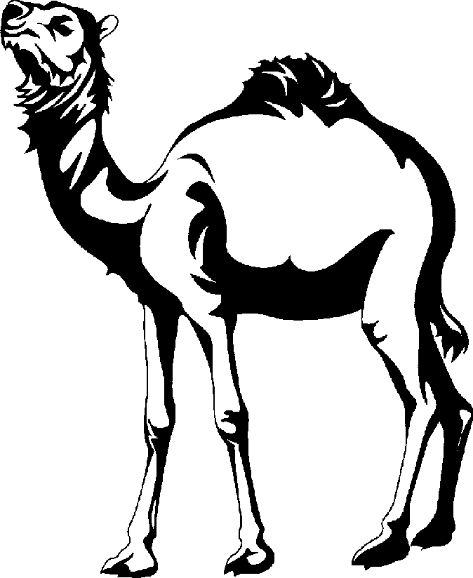 Gallery For   Camel Clip Art Black And White