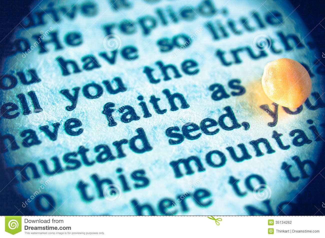 Have Faith As Small As Of Mustard Seed  New Testament Gospel Of Luke