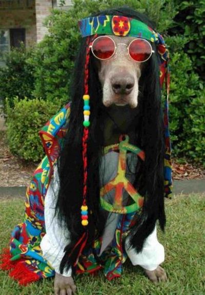 Hippie Peace   Love