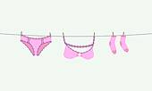 Lingerie On A Clothesline Fix By Pegs   Illustration   Royalty Free