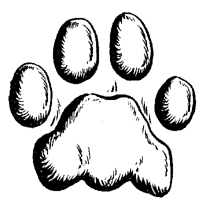 Lion Paw Colouring Pages