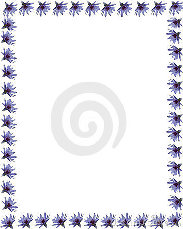 Purple Water Lily Pattern Around The Edges Creates The Border For    