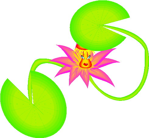 Water Lily Pad Flower Clipart   Free Clip Art Images