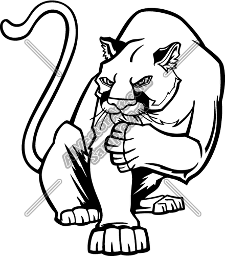 Cougar Clipart And Vectorart  Animals   Cougars Panthers Vectorart And