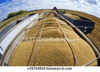 Farm Grain Trucks Clip Art