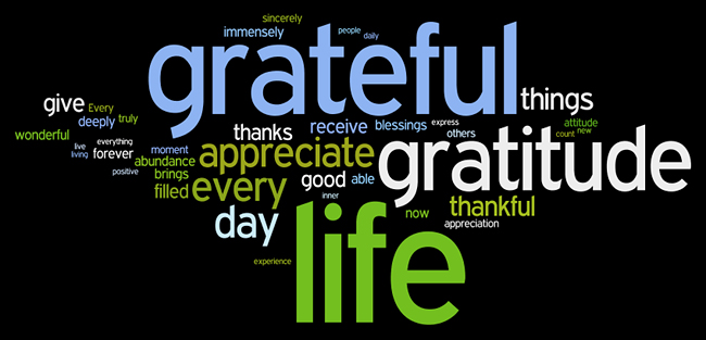 Affirm Your Life  Gratitude Affirmations