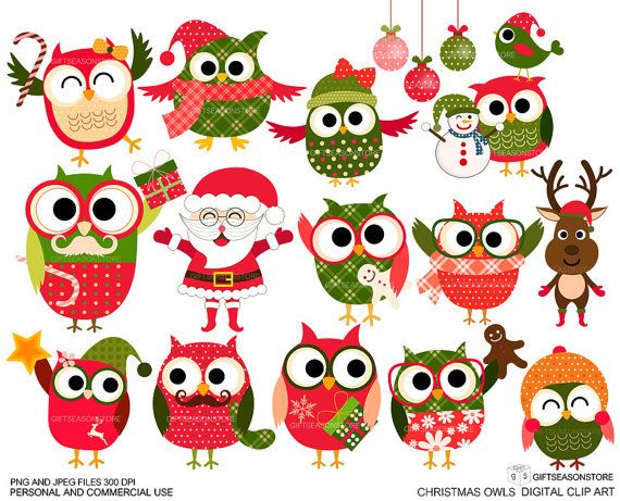 Christmas Owls Digital Clip Art For Personal And Commercial Use   Ins