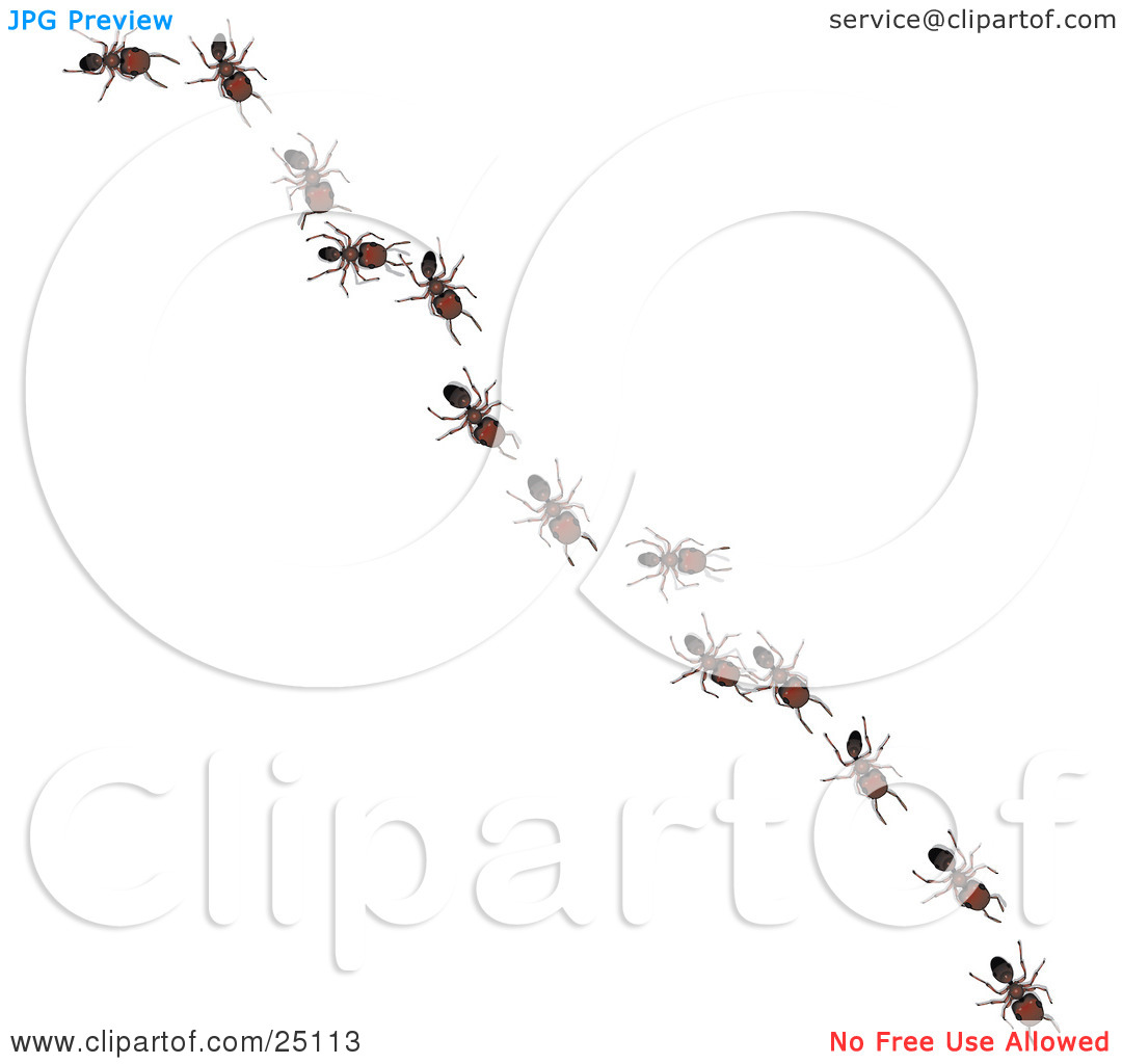 Clipart Illustration Of Worker Ants In A Single File Line