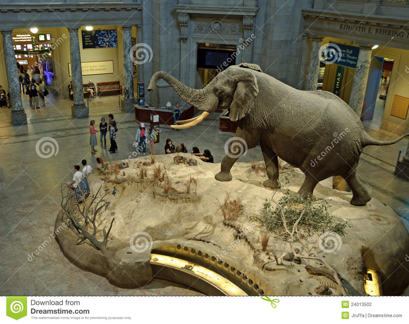 Entrance Lobby Of The Smithsonian National Museum Of Natural History