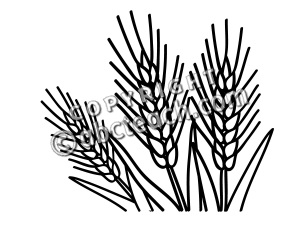 Grains Clipart Black And White Wheatbwunlabeled Pw Png