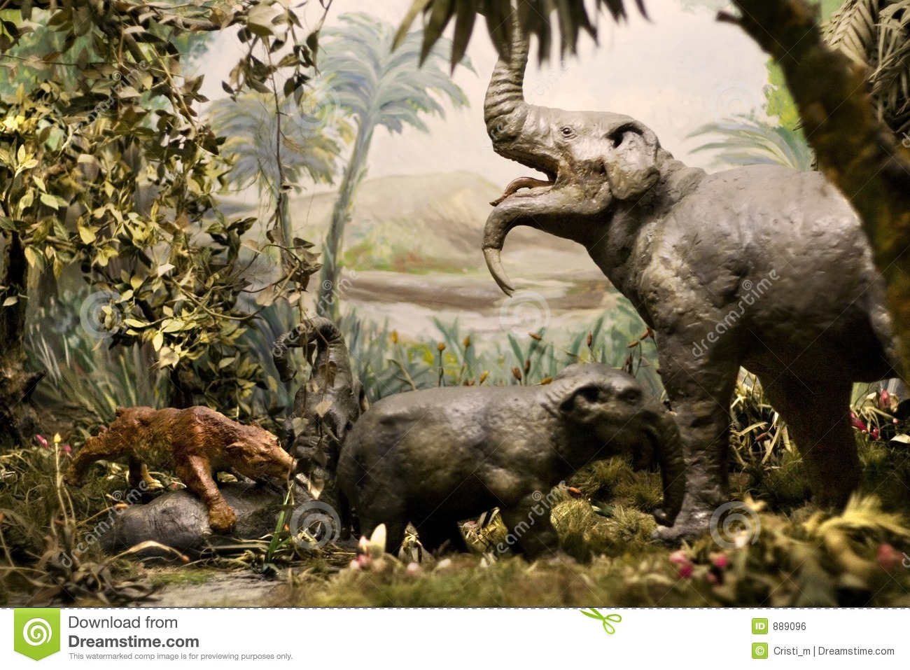 Natural History Museum Exhibition Royalty Free Stock Image   Image