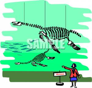 Tour Guide At A Dinosaur Museum   Royalty Free Clipart Picture
