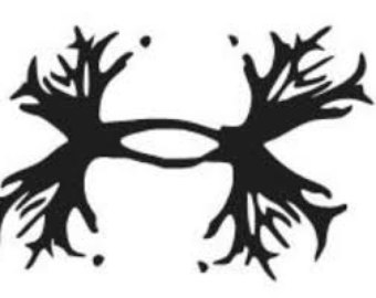 X3 Under Armour Decal Set Deer Antlers Outdoors Laptop Phone Cell