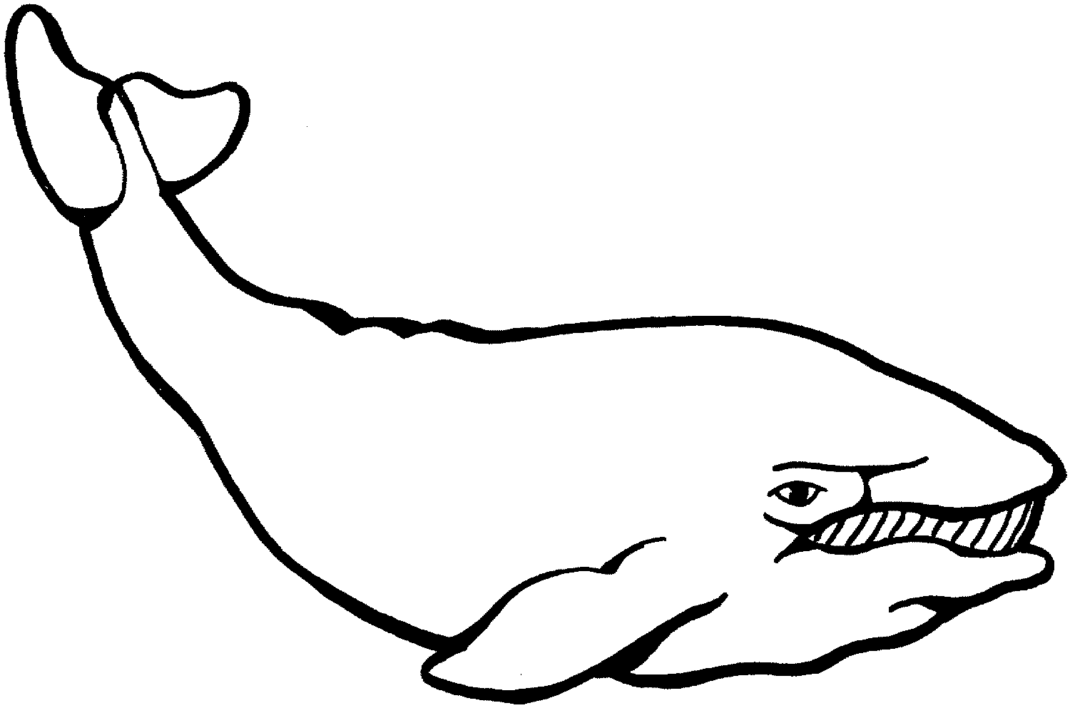 17 Whale Line Drawing Free Cliparts That You Can Download To You    