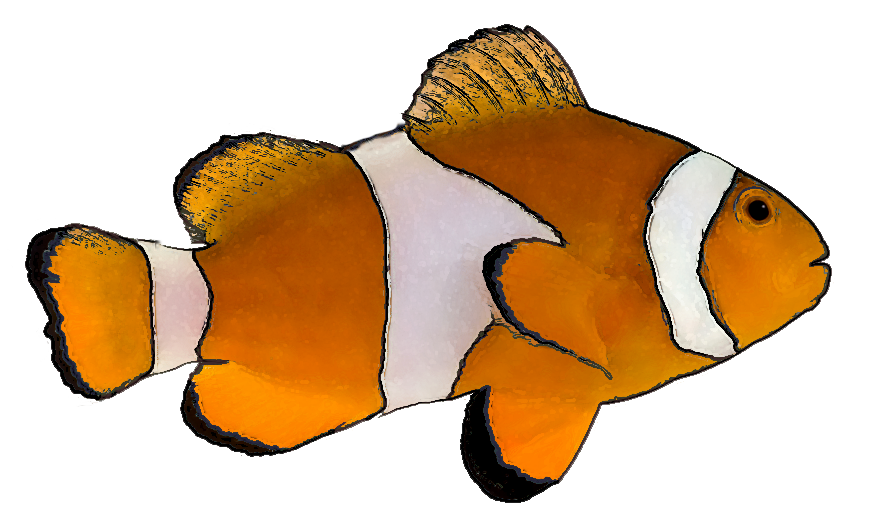 18 Animated Fish Clip Art Free Cliparts That You Can Download To You