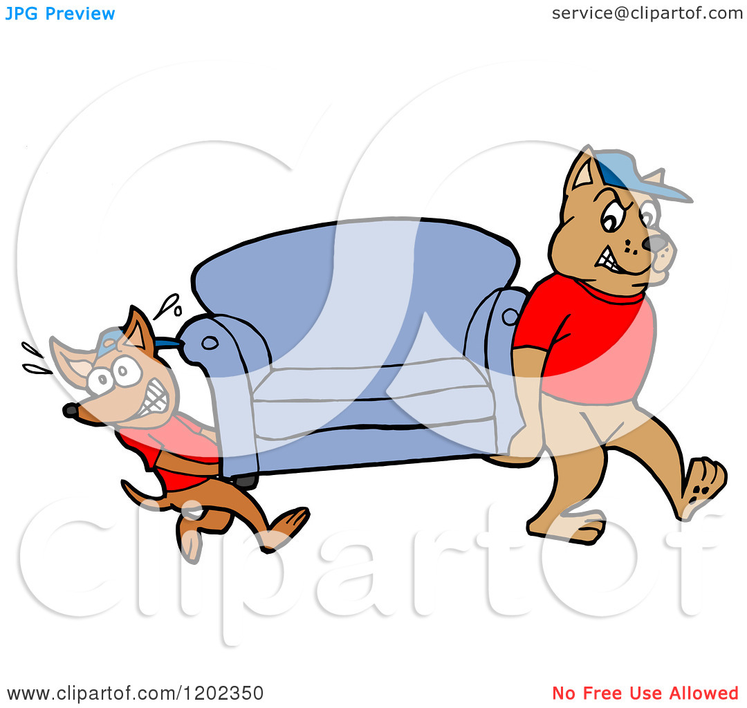 Cartoon Of Pit Bull And Chihuahua Mover Dogs Carying A Sofa   Royalty