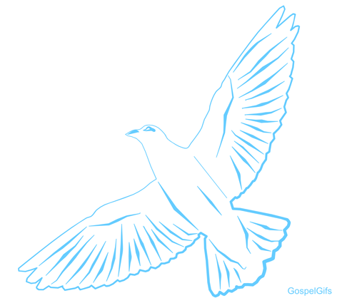 Christian Clip Art Graphic  Dove In Flight  Pale Blue Outlines