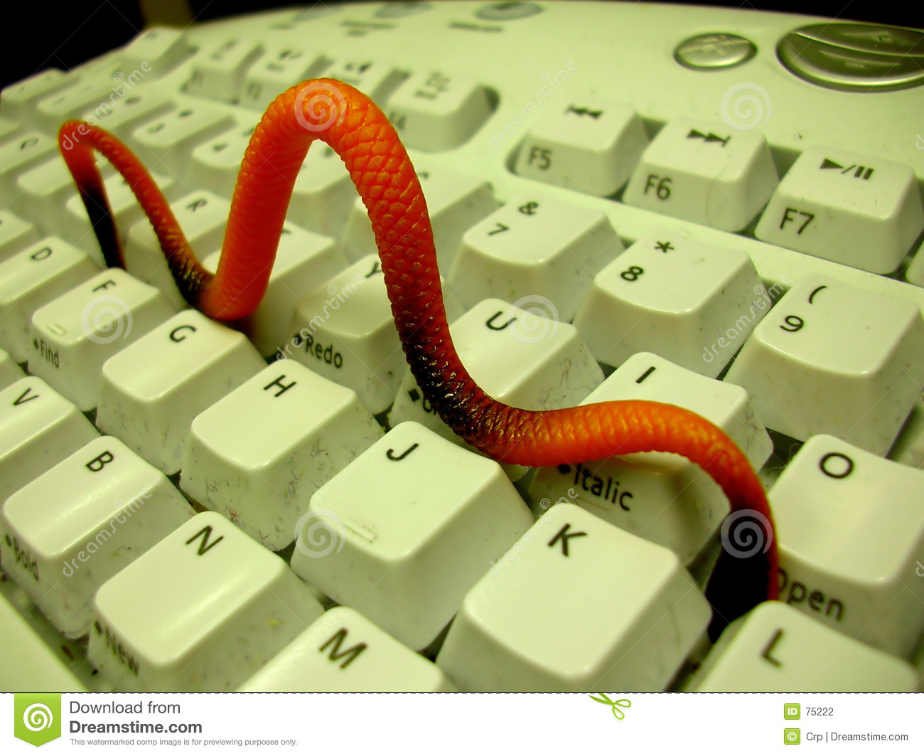 Computer Worm Clipart Computer Worm