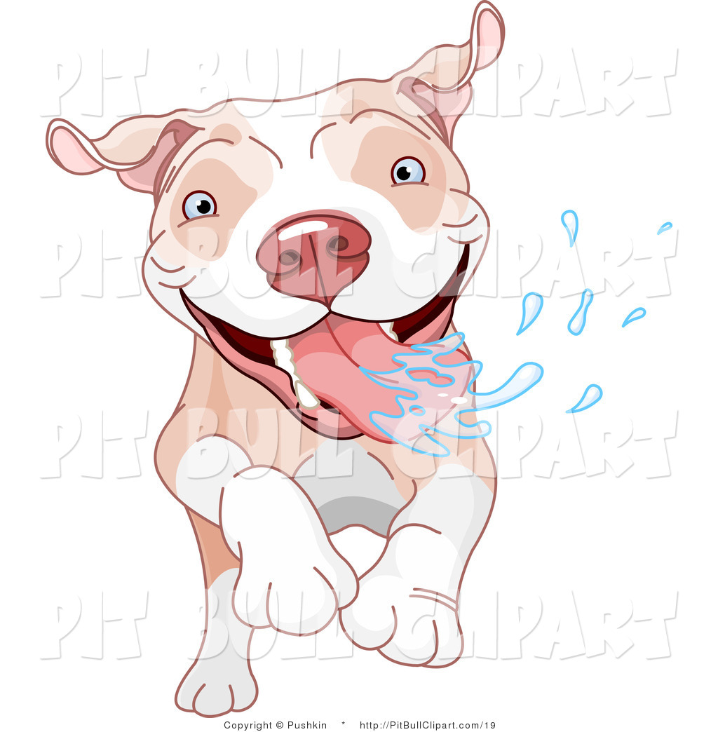 Pit Bull Red Pit Bull Dog Running And Drooling Brindle Pit Bull    