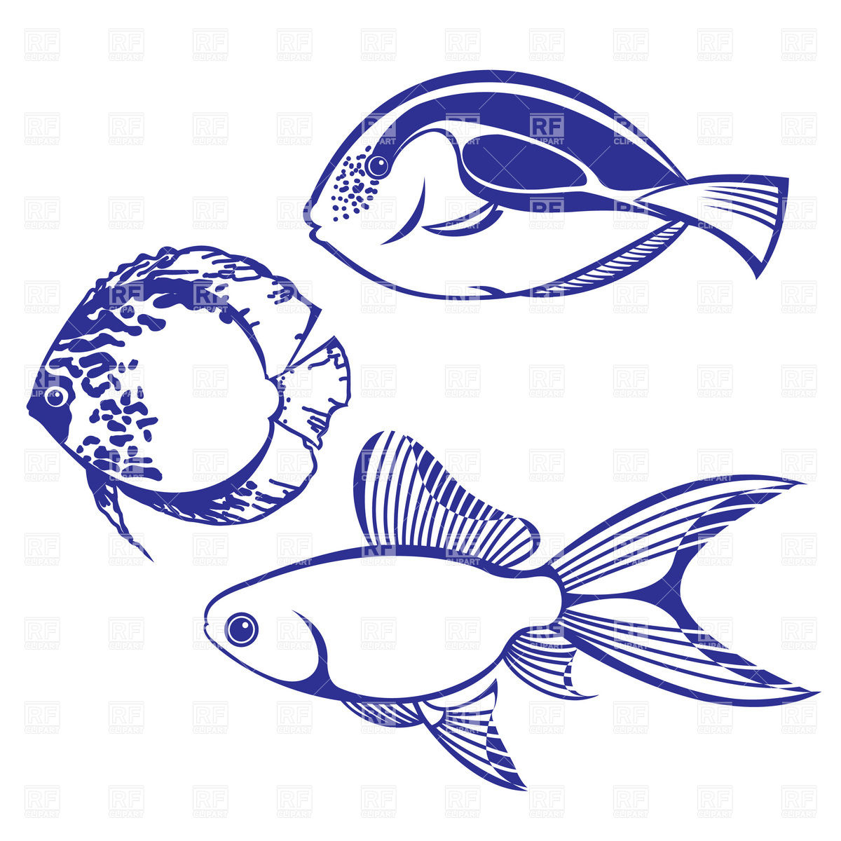 Tropical Exotic Fish 8249 Download Royalty Free Vector Clipart  Eps