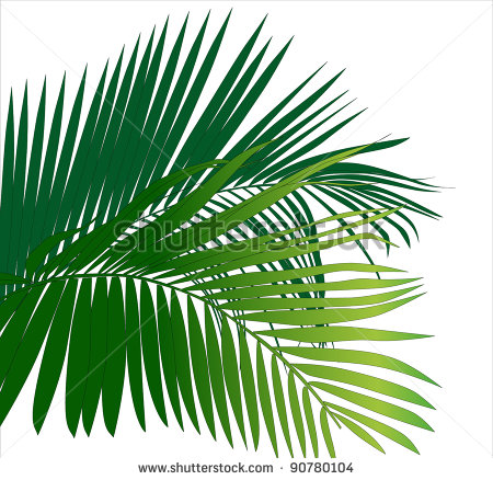 Vector   Jungle Rainforest Leaf Plants  Tropical Plants Vector Image