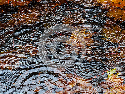 Autumn Rain Puddle Royalty Free Stock Image   Image  27242516