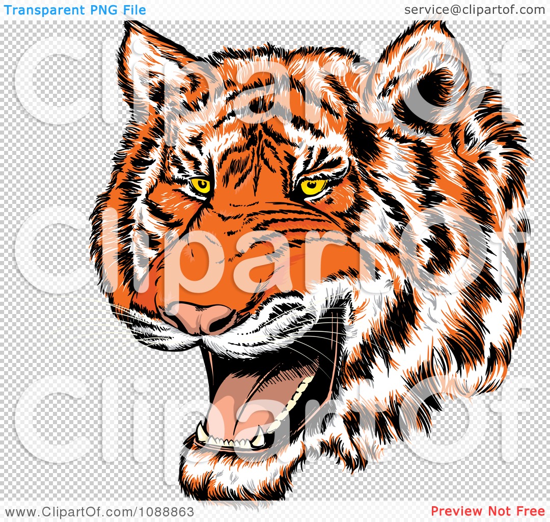 Clipart Mad Tiger Growling   Royalty Free Vector Illustration By Paulo
