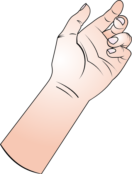 Holding Hand Clip Art At Clker Com   Vector Clip Art Online Royalty