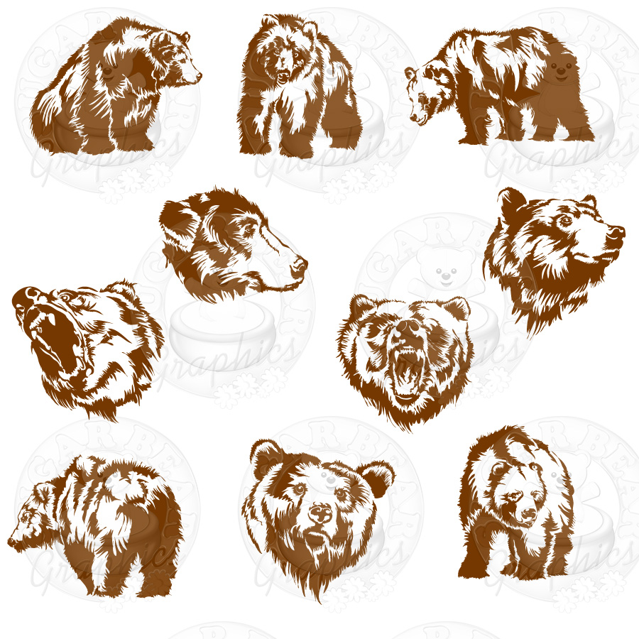 There Is 40 Grizzly   Free Cliparts All Used For Free 