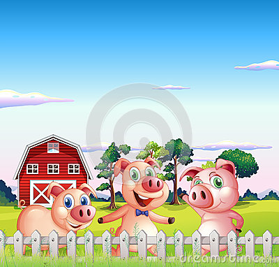 Two Happy Pigs At The Farm Royalty Free Stock Photos   Image  32202568