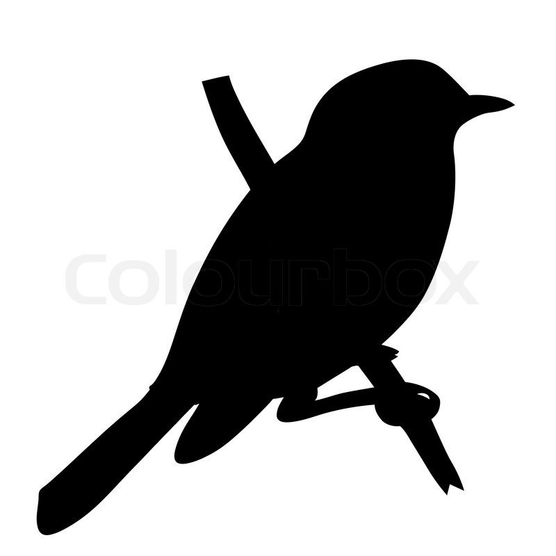 Bird Silhouette On White Background Vector Illustration   Vector